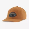Patagonia Back For Good Trad Cap - Spring 2022