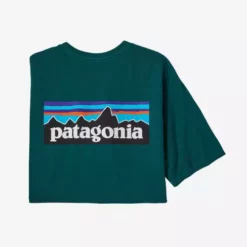 Patagonia Men's P-6 Logo Responsibili-Tee® - Spring 2022