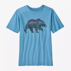 Patagonia Boys' Regenerative Organic Certification Cotton Graphic T-Shirt - Spring 2022