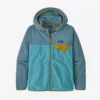 Patagonia Boys' Micro D® Snap-T® Fleece Jacket - Spring 2022