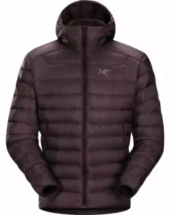 Arc'teryx Men's Cerium LT Hoody - Winter 2021/2022