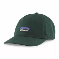 Patagonia P-6 Label Trad Cap- Fall 2021