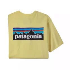 Patagonia Men's P-6 Logo Responsibili-Tee® - Spring 2022